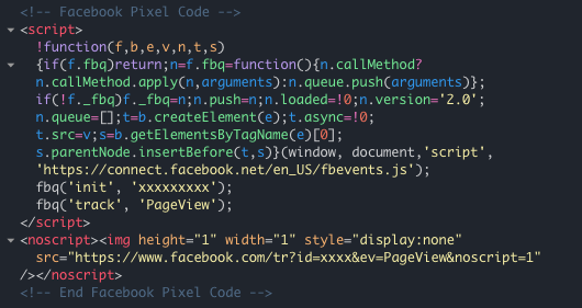 Example of a facebook pixel (script)