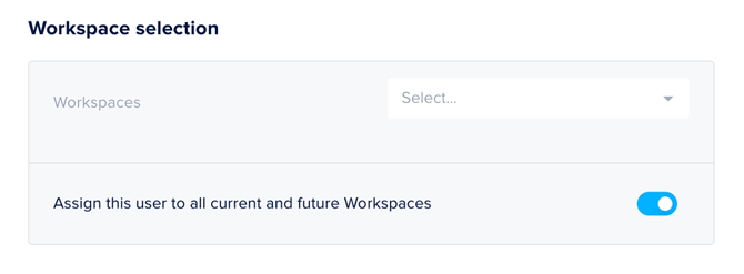 Assign user to all workspaces