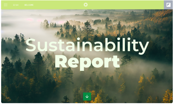2 report