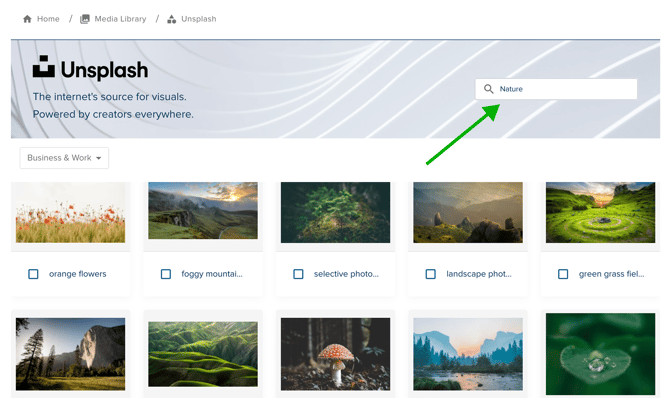 Image3-Dec-23-2025-09-04-51-3606-AM