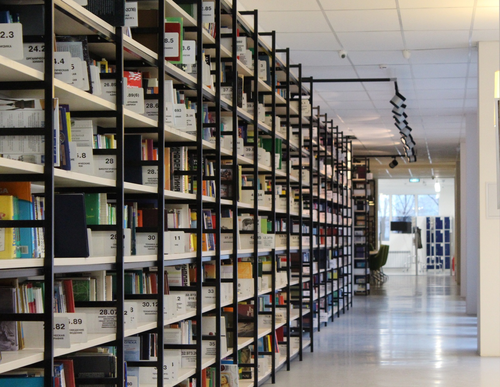 Relevanter Content statt Sammelsurium an Informationen