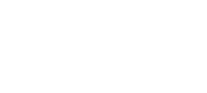 chipsoft