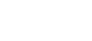 Digital Minds