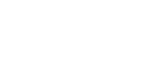 Rodl & Partner